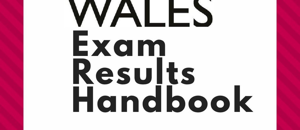 Resources and guidance for young people in Wales who are worried about exam results or the next steps after school