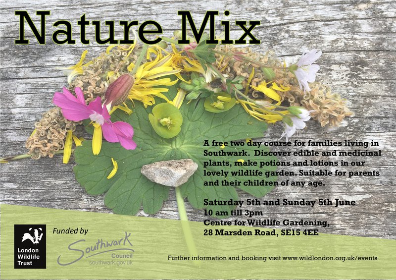 Nature Mix.jpg