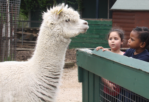 Vauxhallfarm.jpg (1).png